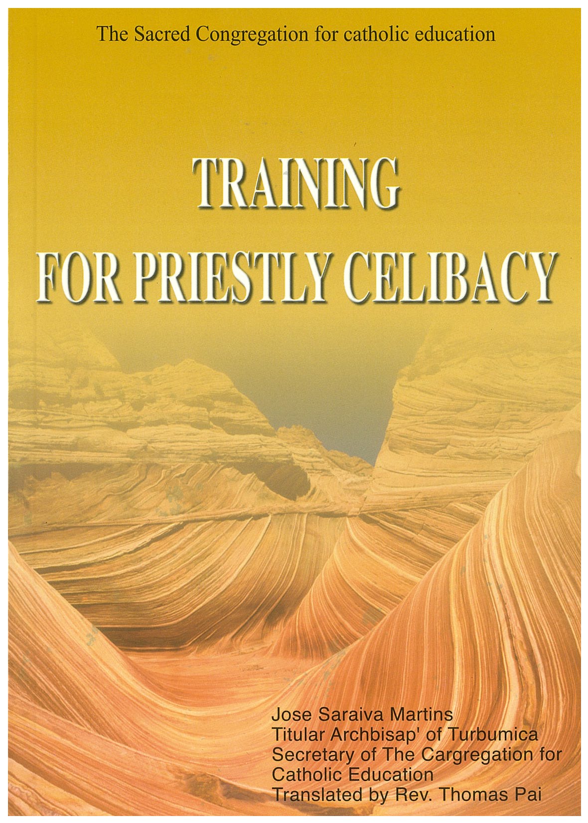 Training for priestly celibacy